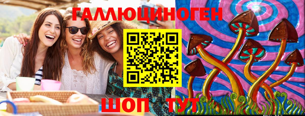 Нижний Новгород  Галлюциногенные грибы Psilocybine cubensis  Вход с VPN 