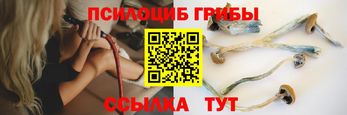 Галлюциногенные грибы прущие грибы Нижний Новгород